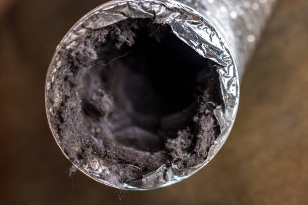 Best Air Duct Cleaning Company Near Me  in Galva, IL